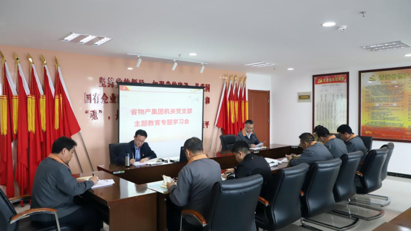 魏廷強同志為集團(tuán)機關(guān)黨員講主題教育專題黨課