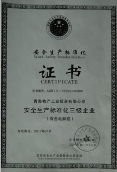 青海物產(chǎn)工業(yè)投資有限公司安全生產(chǎn)標(biāo)準化三級企業(yè)審核達標(biāo)
